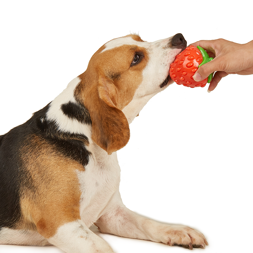 FOFOS Tough Fruit Silence Strawberry Dog Toy