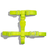 Zee.Dog Neopro Lime H-Harness Large