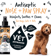 Bugalugs Antiseptic Paw & Nose Spray 200ml (6.8 Fl Oz)