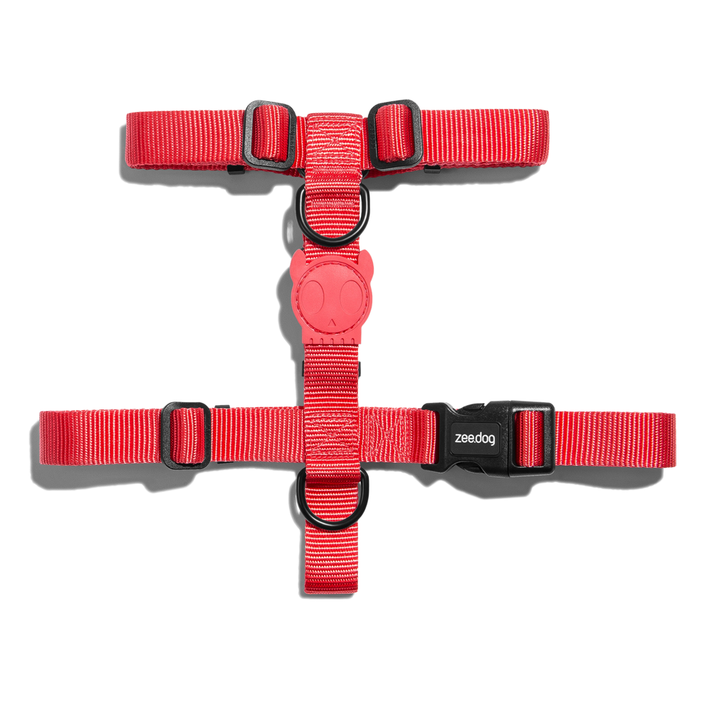 Zee.Dog Neon Coral H-Harness Large