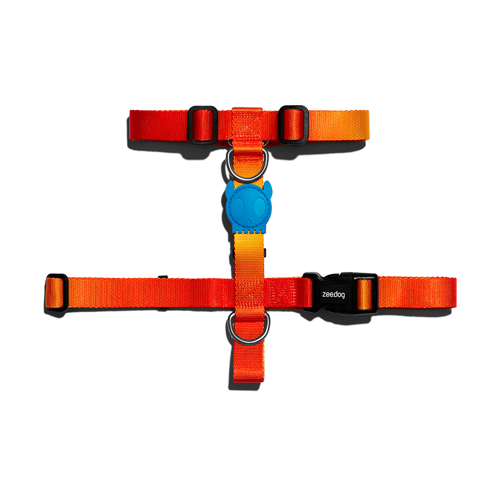 Zee.Dog Solaris H-Harness Extra Small